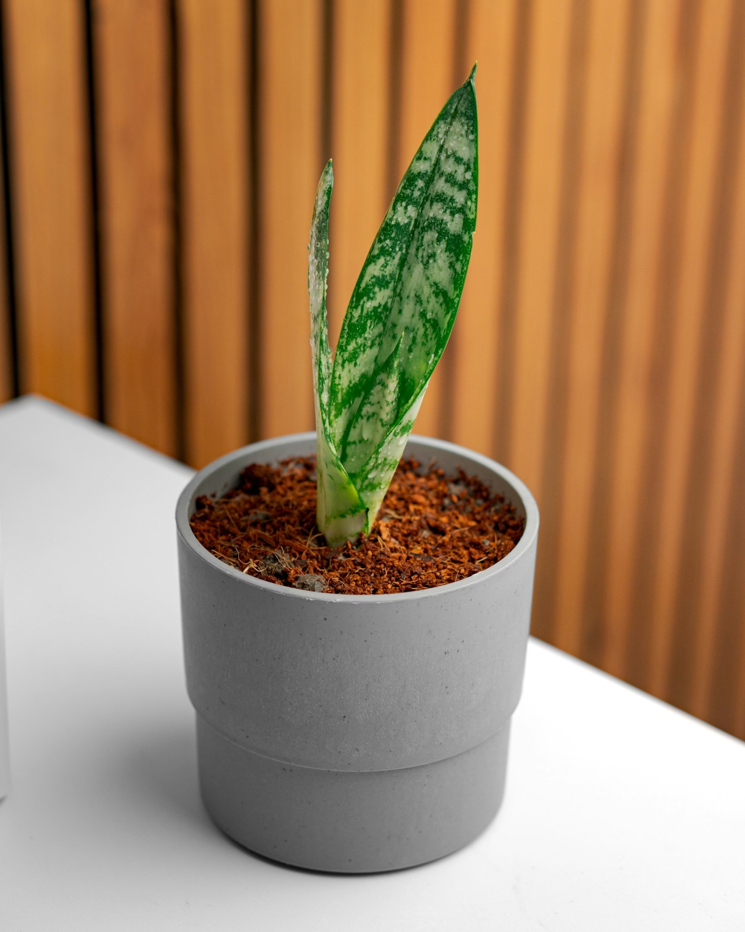 Decluttering Your Desk: A Guide to Better Focus